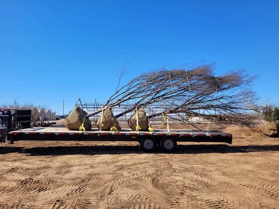 Property cleanup in progress