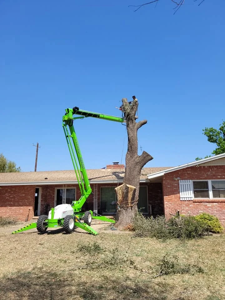 A planned piece-by-piece removal