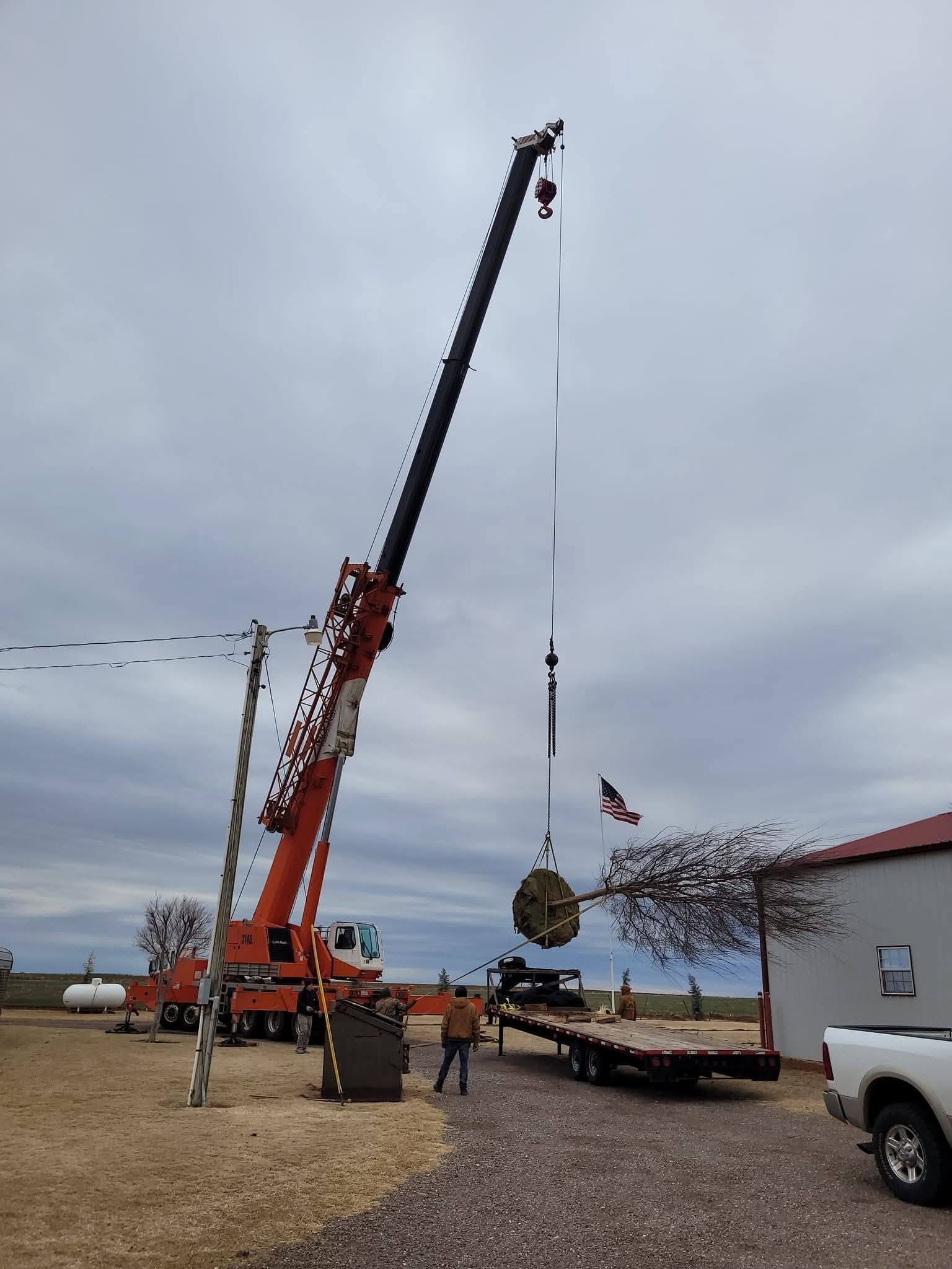 A and A Tree Service crew working in a large tree canopy